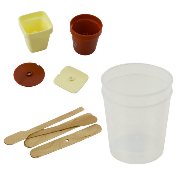 Educational Kit Growing Magic Crystal Tree