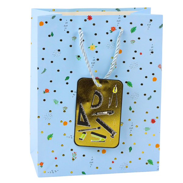 Student Teacher Gift Bag 23 x 18 x 10.5 cm