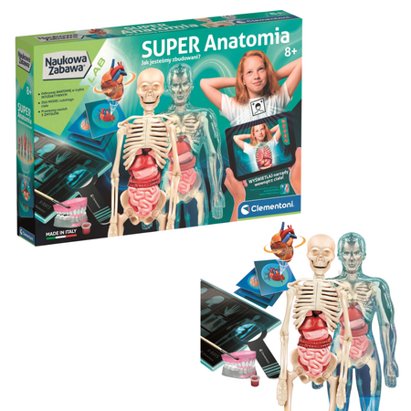 Science Fun Super Anatomy Polish Language Clementoni 50919