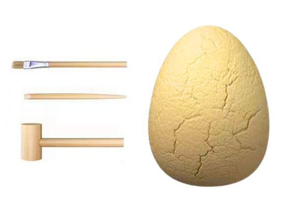 Archäologisches Set Dinosaurier-Eierfossilien