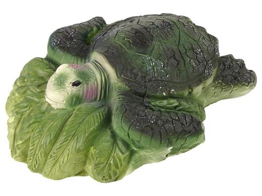 Lernset zur Ausgrabung von Ammonitenschildkröten