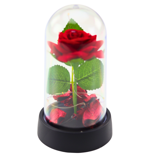Ewige Rose in einer Kuppel mit LED-Beleuchtung Rot mit Rosenblättern 14x8cm