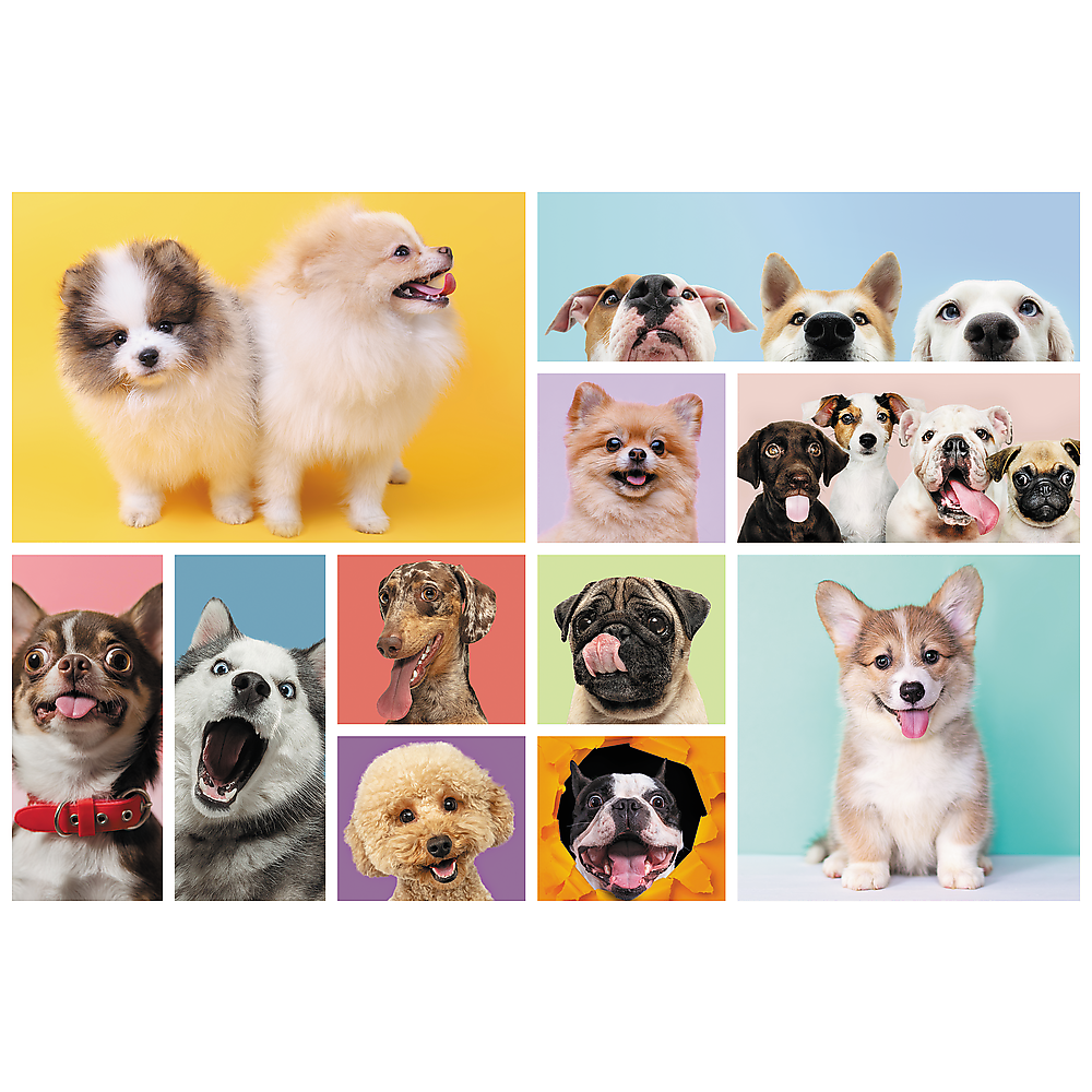 ND24_14331 Puzzle - 160 - Psia przyjazn - Trefl 1