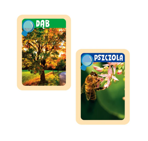 Spaß mit der Wissenschaft Entdeckungen der Natur Labor Junior Polnische Sprache Clementoni 50714