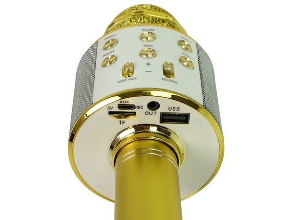 Wireless Microphone USB Speaker Karaoke Recording Model WS-858 Gold