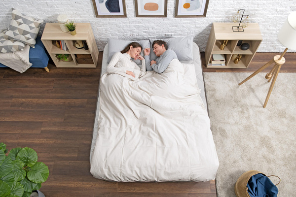 Bestway 69145 air mattress