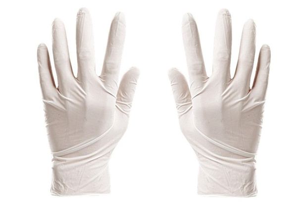 Prehistory Creative Set Create Amber Insects