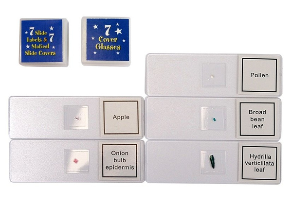 Kindermikroskop im Tragekoffer Educational Scientist 28 Elemente 300x 600x 1200x