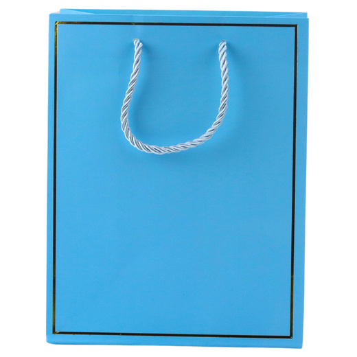 Gift Bag with Gold Frame Mix Color 23 x 18 x 10 cm