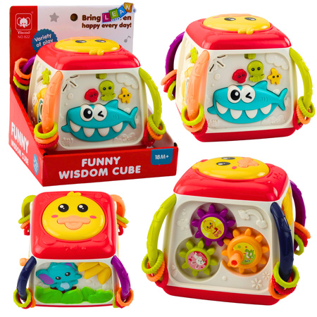 Interactive Educational Cube for Toddlers Colorful Duck