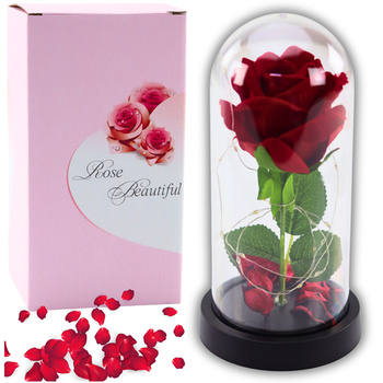 Eternal Rose in Dome with LED Lighting Red 21x11cm