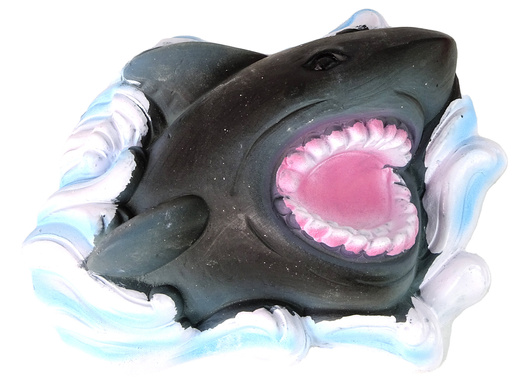 Ammonite Shark Excavation Educational Kit