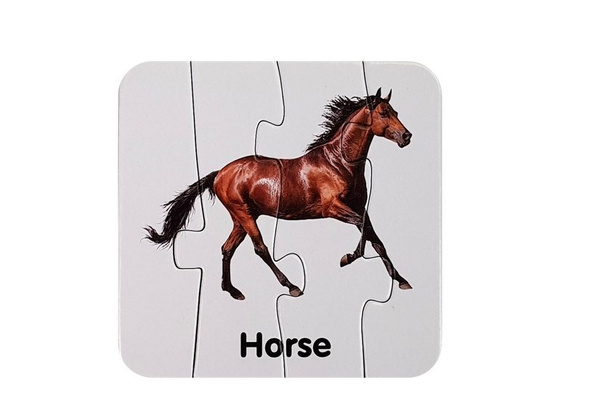 Educational Puzzle Wild Animals Puzzle 10 English Connections