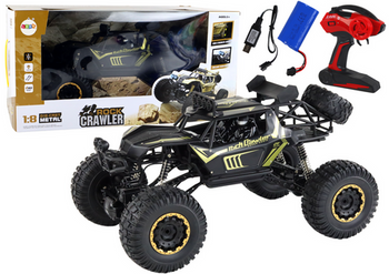 Large Remote Control Car 1:8 Scale 2.4G Control Black