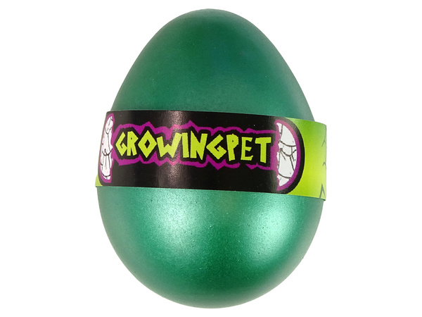 Hatching Magic Turtle Egg Growing 6 cm.