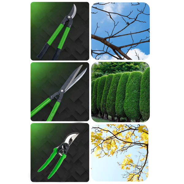 Set of Garden Hedge Pruners with Case 3 pcs.