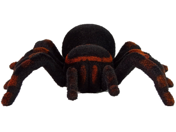 Ferngesteuerte Schwarze Tarantula R/C Spinne