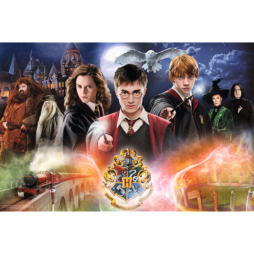 Harry Potter Puzzle 300 Teile. Geheimnisvoller Harry Potter 23001