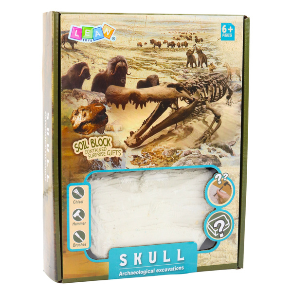 Archaeology Excavation Set Skulls Bones Tools Accessories