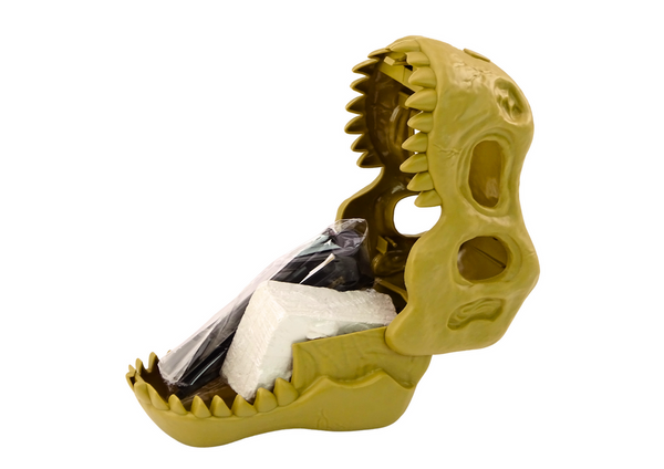 Archäologisches Ausgrabungsset Dinosaurier Fossilien Schädel