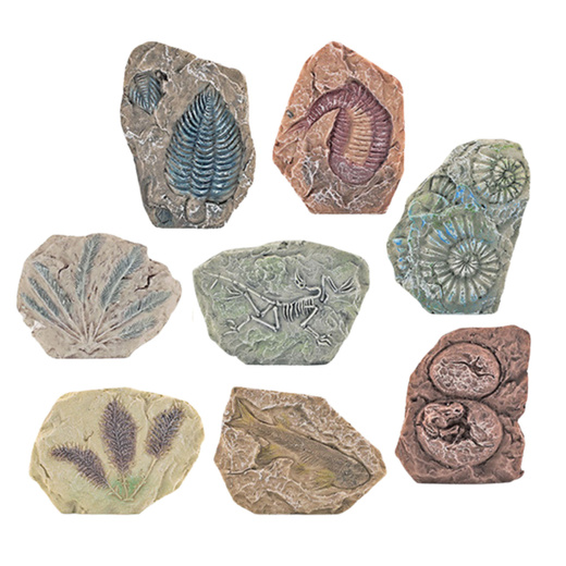 Paleontology Excavation Kit Plaster Block Tools