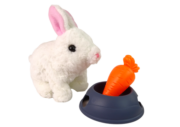 Interaktiver Hase Kaninchen Maskottchen Weiß Karottenschale