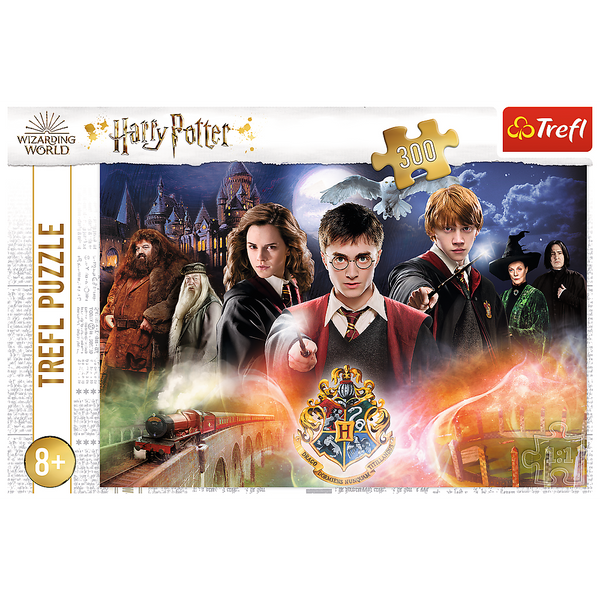 Harry Potter Puzzle 300 Teile. Geheimnisvoller Harry Potter 23001