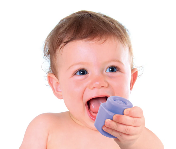 Clemmy Sensory Farm Sorter Dog & Cow Clementoni 17993