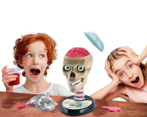 Wissenschaftlicher Spaß Verrückte Anatomie Polnische Sprache Clementoni 50697