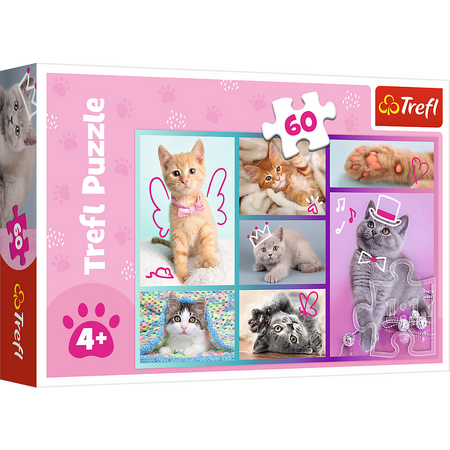 Puzzle - "60" - Sweet Kittens / Trefl 17373