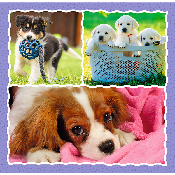 Puzzle - 3 in 1 - Cute dogs - Trefl 34854