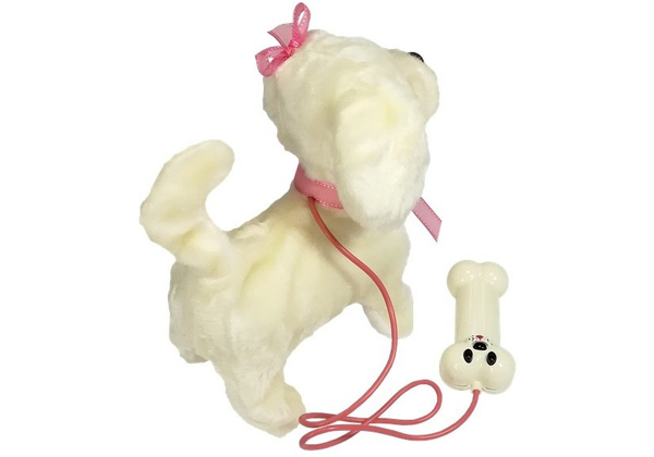 White Poodle Dog On A Leash With Pilot Bone