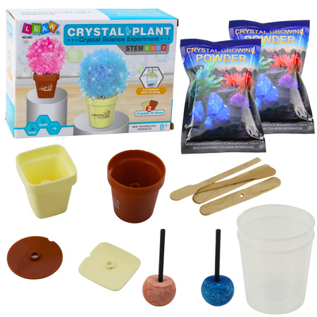 Educational Kit Growing Magic Crystal Tree
