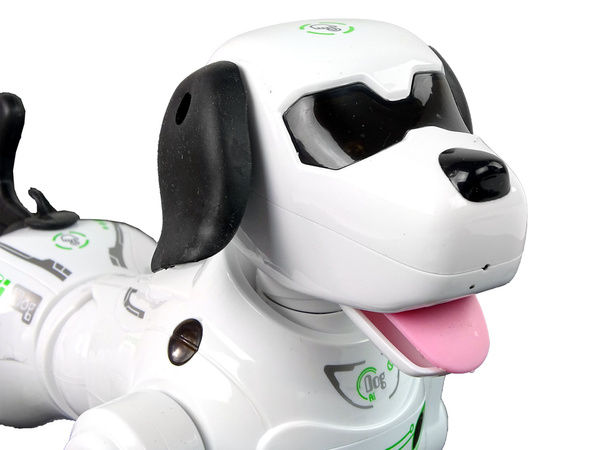 Interaktiver ferngesteuerter Roboter Doggy