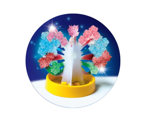 Science Fun Giant Crystals Polish Language Clementoni 50106