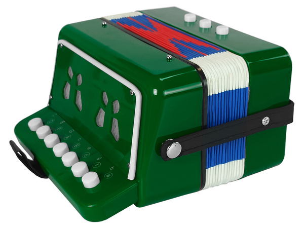 Akkordeoninstrument für einen jungen Musiker Grün