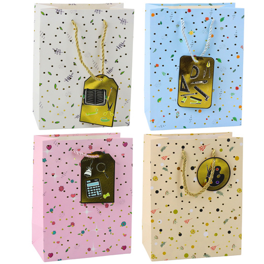 Geschenktüte für Schüler, Lehrer, 32 x 26 x 12 cm