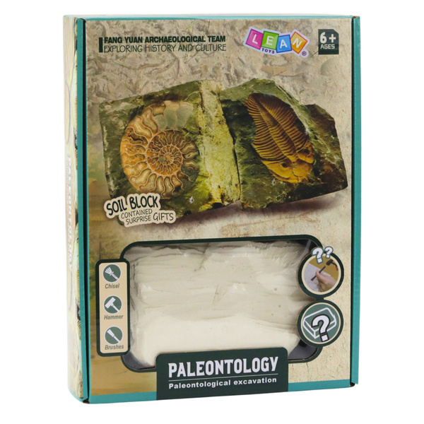 Paleontology Excavation Kit Plaster Block Tools