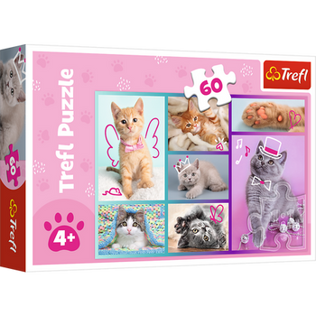 Puzzle - "60" - Sweet Kittens / Trefl 17373