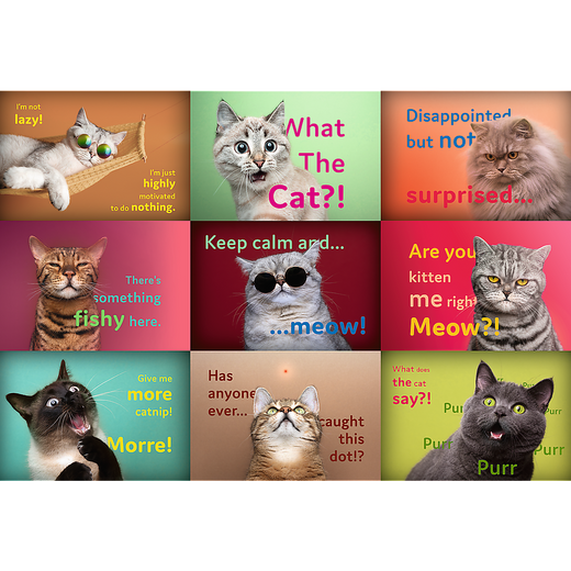 Trefl 26212 Funny Cat Portraits 1500 Piece Puzzle