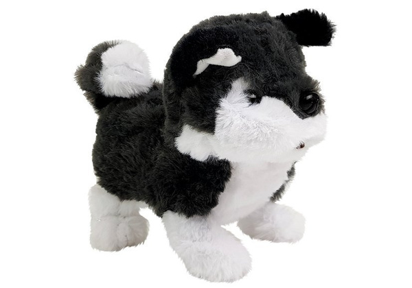 Interactive Husky Battery Operated Dog Walks Moves His Tail Sound