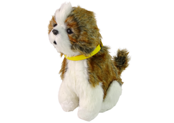 Interactive Plush Dog Soft fur Shitzu breed