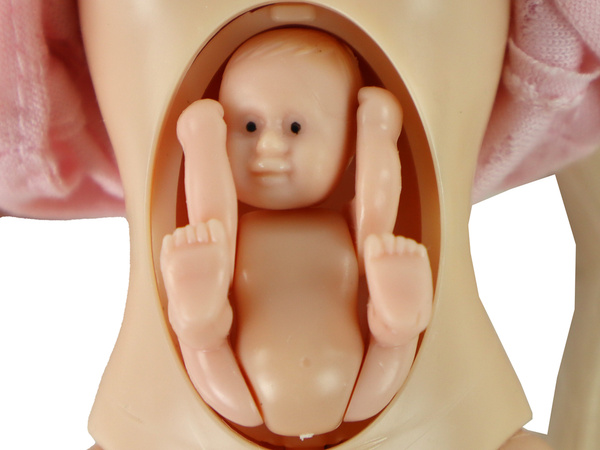 Doll Family Boy Girl Pregnant Lucy