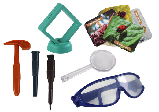 Archaeological Excavation Set Insects in Amber