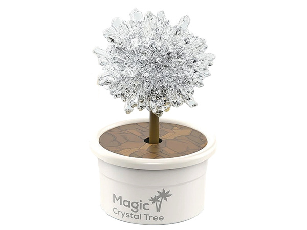 Magic Tree Crystal Growing Silver Experiences