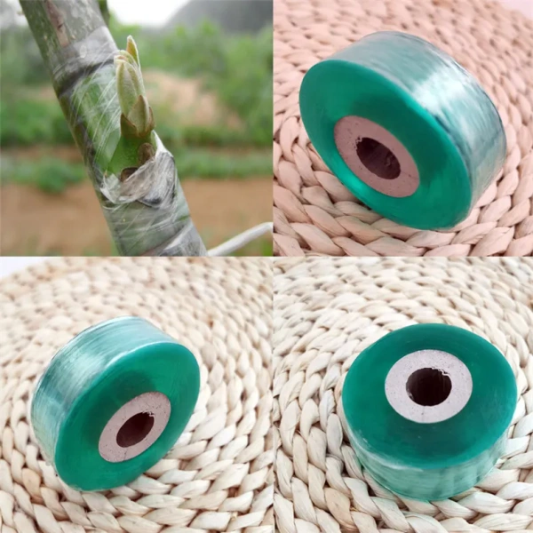 Taśma Do Okulizacji – Profesjonalne i Bezpieczne Szczepienia Roślin