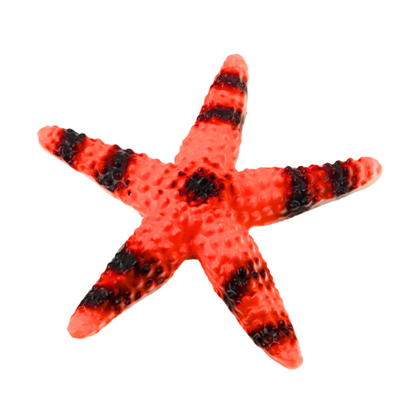 Set of Figures Sea Animals Crab Starfish Squid Ammonite 5pcs.