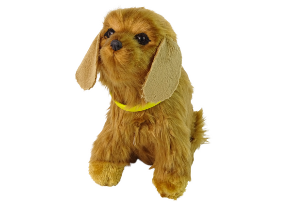 Interactive Plush Dog Soft fur Cocker Spaniel breed Stroke its head and learn its functions