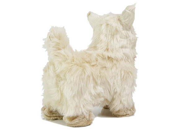 Interaktive Chihuahua-Hundebewegungen, Bellen