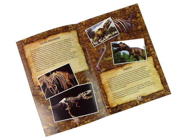 Lernset zur Ausgrabung von Dinosauriern und Tyrannosaurus